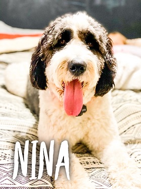 Nina 